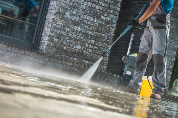 Animal Enclosure Cleaning in Greenback, TN