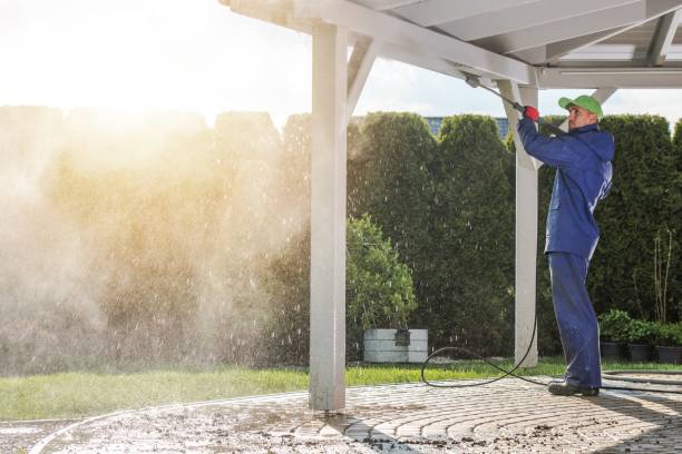 Best Fence Cleaning  in Greenback, TN