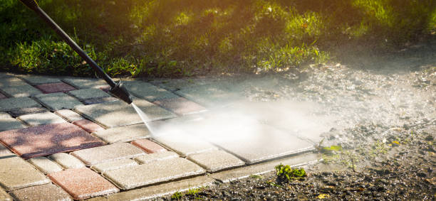Best Solar Panel Cleaning  in Greenback, TN